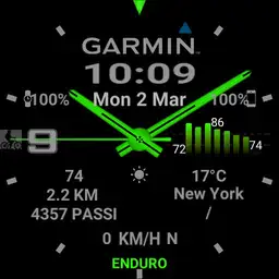 Savy Garmin2 simple gray, green, red Copy