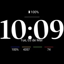 Pixel Watch - Unofficial