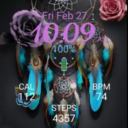 Dreamtime Catcher