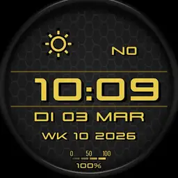 Digital 2500 v10