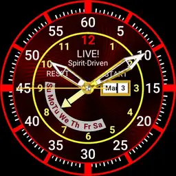 LIVE-SD Fiesta