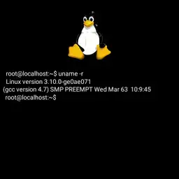 tux watch