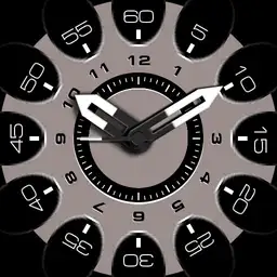 Brute RAPTOR Military Field Watch Colours