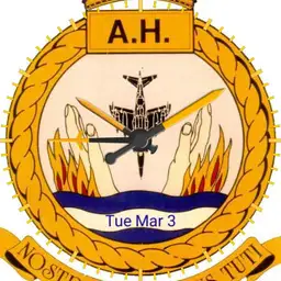 Aircraft Handlers
