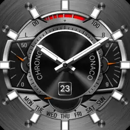 skeleton chrono