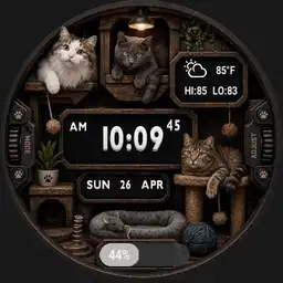 Kitty Time