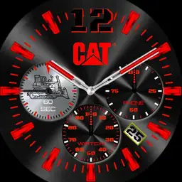 Dinamo Cat red