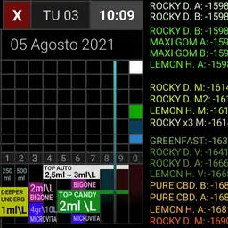 CALENDARIO 2021mini