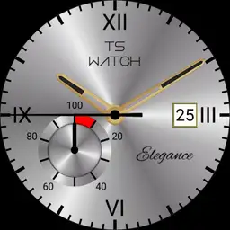 TS watch