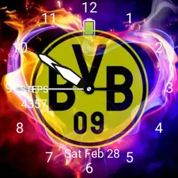 bvb