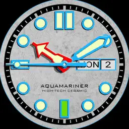 Brute AQUAMARINE Ceramic Diver
Watch Colours