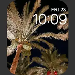 Palmnight