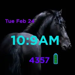 Horse
