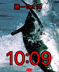 shark animated Copy