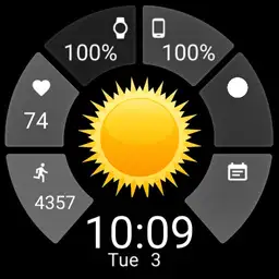 Circular Info Watch