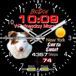 BioDog12