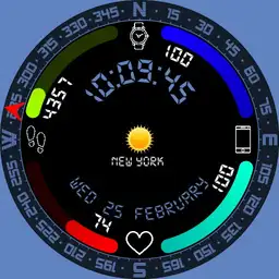 Compass Face