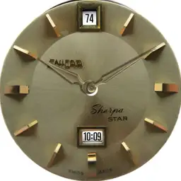 enicar watch