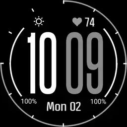 Garmin Fenix R/W 6 Copy