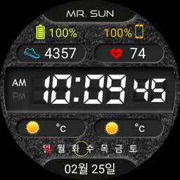 Mr. SUN Digital Black