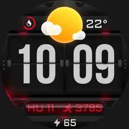 Weather Flip DRK