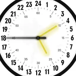 24 hour analog