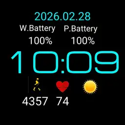 Forhecz watch Copy