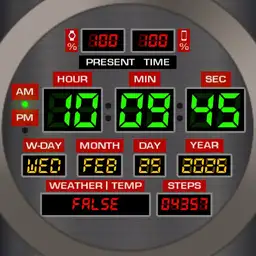 Back to the Future Time Circuits Ver 1.0