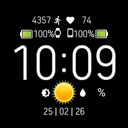SimpleBasicWatch