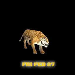 tiger