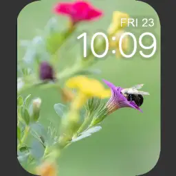 Bee