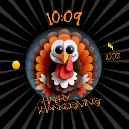 Turkey Toon