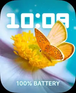 BUTTERFLY