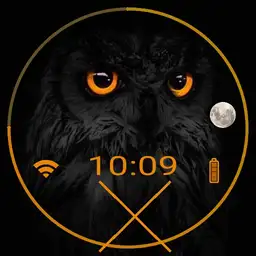 Yellow Eye Owl