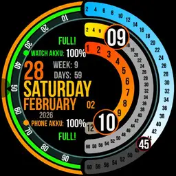Rings Animation V7.0 Color