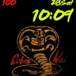 Covy Cobra Kai