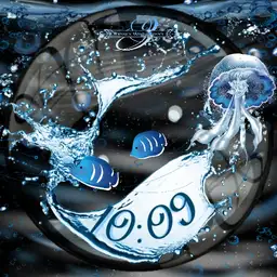 Ocean 2S SPORT Animation