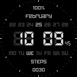 Digital LCD Copy