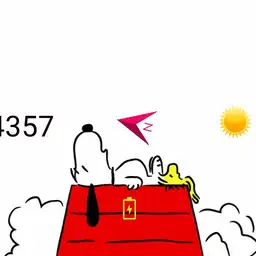 Snoopy sleep