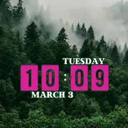 Daniel Boone forest Copy