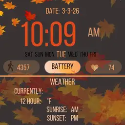 Autumn Digital info