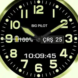 BIG PILOT Copy