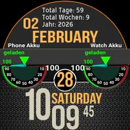 Battery Trainer - Serie V1.0 German