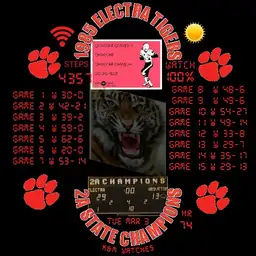 Electra Tigers