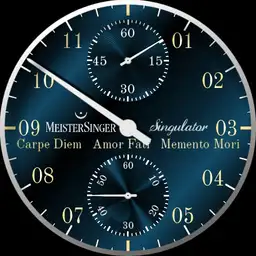 MeisterSinger base on Singulator v5.5 Stoic