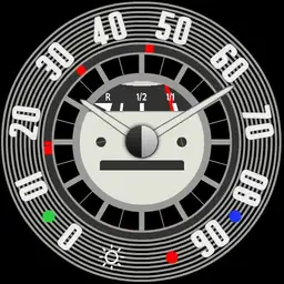 VW Speedo