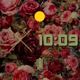 Red Roses