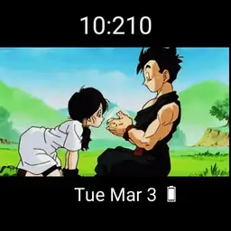 Videl & Gohan