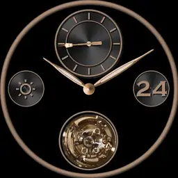 Rose Gold Animated Tourbillon