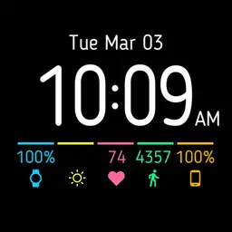 Wear OS Pixel 4.0 Copy